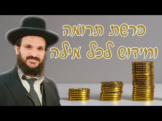 פרשת תרומה וחידוש לכל מילה