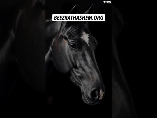 Reincarnated As A Horse #Torah #Jewish #RabbiYaronReuven