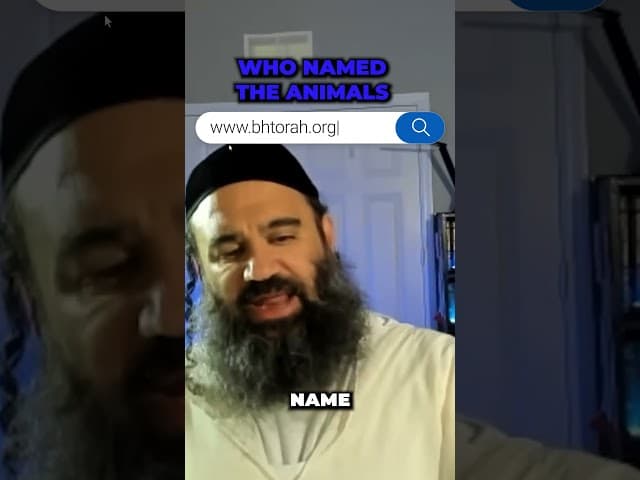 Who Named The Animals #rabbiyaronreuven #jewishinspiration #God #torah