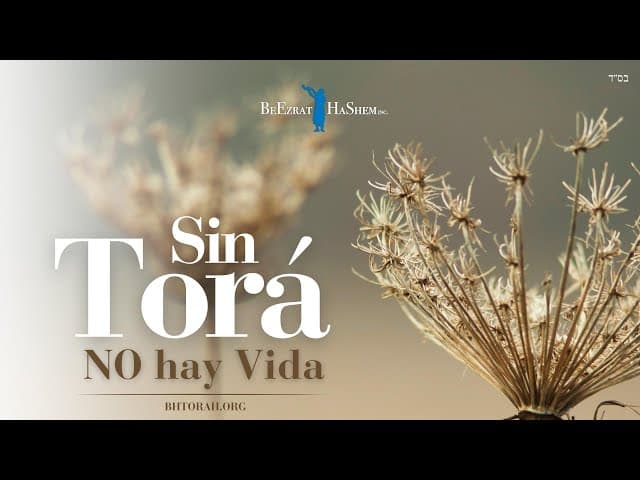 Sin Torá, no hay vida. y.. el afamado "libre albedrío", qué es realmente?