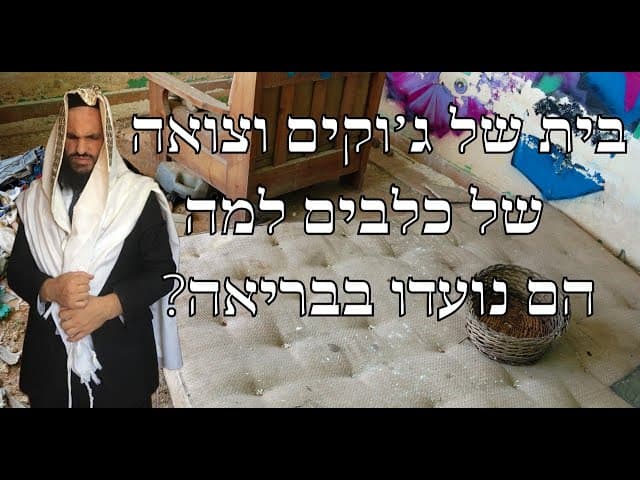 ?בית של ג׳וקים וצואה של כלבים למה הם נועדו בבריאה
