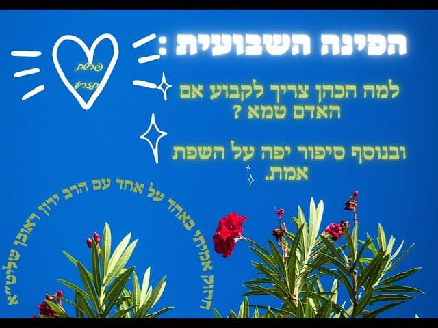 הפינה השבועית: פרשת תזריע✨✨✨✨✨✨