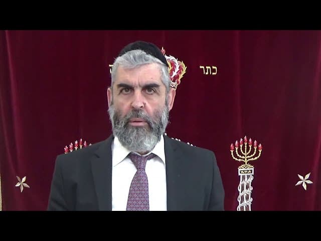 הרב יגאל ניאזוף - השגחה בשנת השמיטה