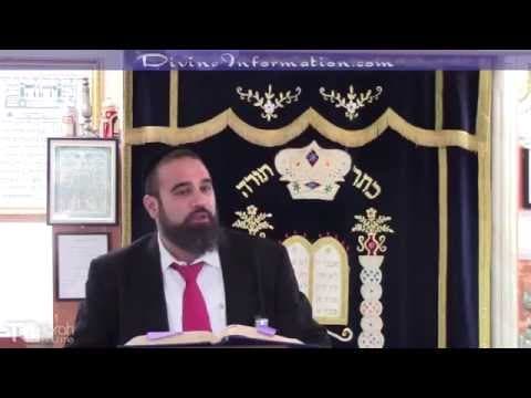 Shavuot Special: How Much Torah Do We Have In This World Vs  Olam HaBa
