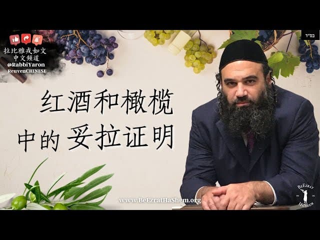 橄榄和红酒中的《妥拉》证明 🍷 犹太智慧 🕎 #犹太教  #拉比雅戎如文  #妥拉