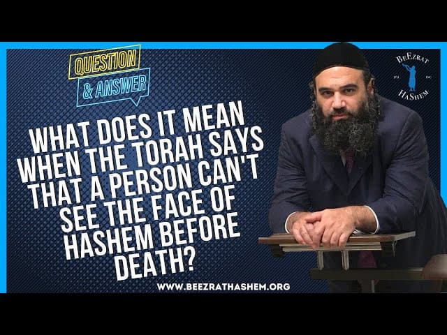WHAT DOES IT MEAN WHEN THE TORAH SAYS THAT A PERSON  CAN'T SEE THE FACE OF HASHEM BEFORE DEATH?