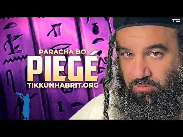 Paracha Bo - Piégé par le péché