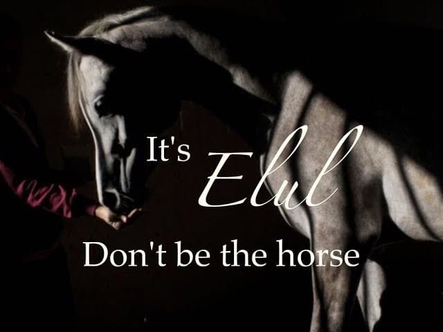 Practical advice for Elul, Don't Think You're The Horse!!! (1 minute)