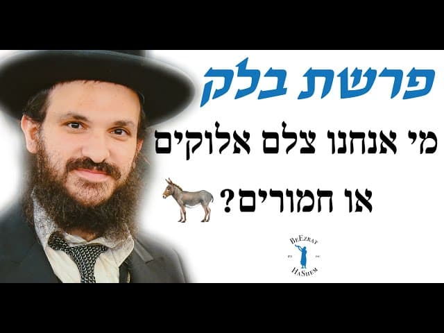 פרשת בלק מי אנחנו צלם אלוקים או חמורים? 🫏