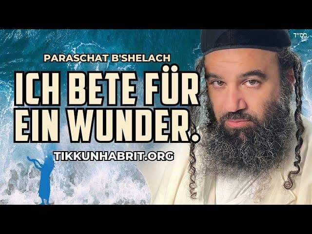 Wenn Gebet nicht reicht: Parashat B'Shelach