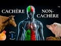 nourriture cachère
