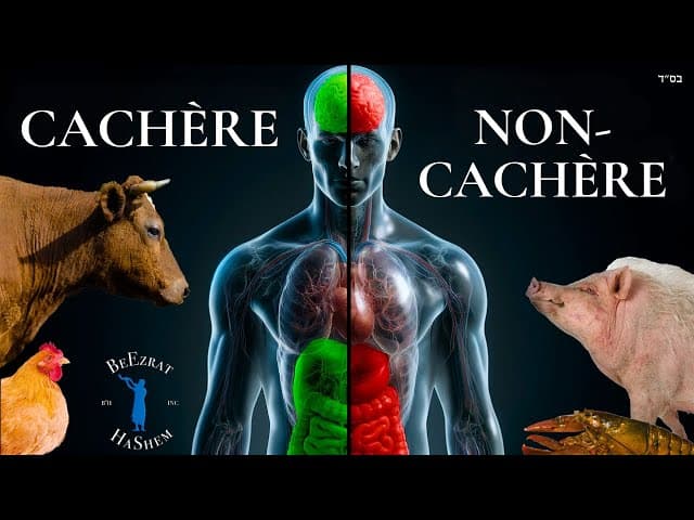 Comment la Nourriture Non-Cachère Affecte le Corps et l’Âme | BH FILMS