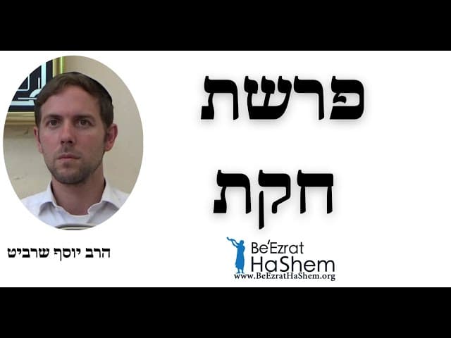 הרב יוסף שרביט - פרשת חקת
