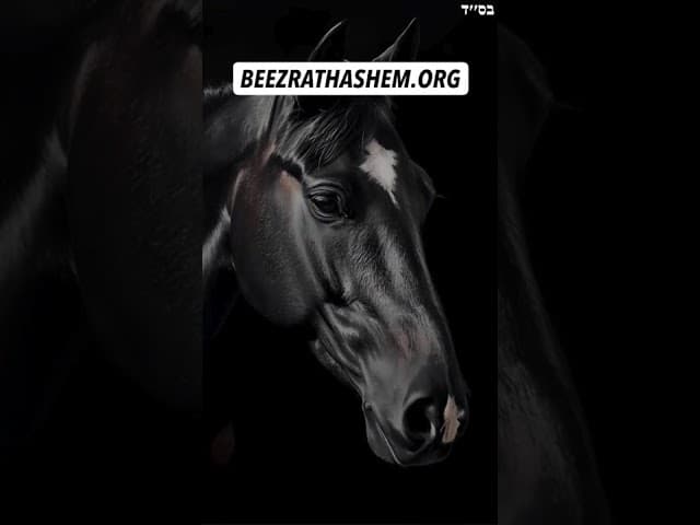 Reincarnated As A Horse #Torah #Jewish #RabbiYaronReuven