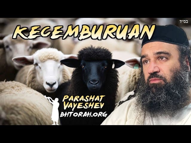 Bahaya Kecemburuan - Parashat Vayeshev