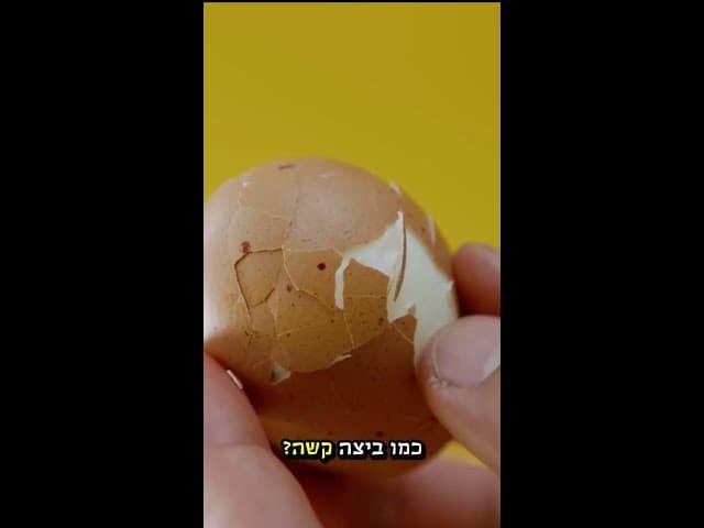 אתה שוקולד, ביצה או תפוח אדמה?