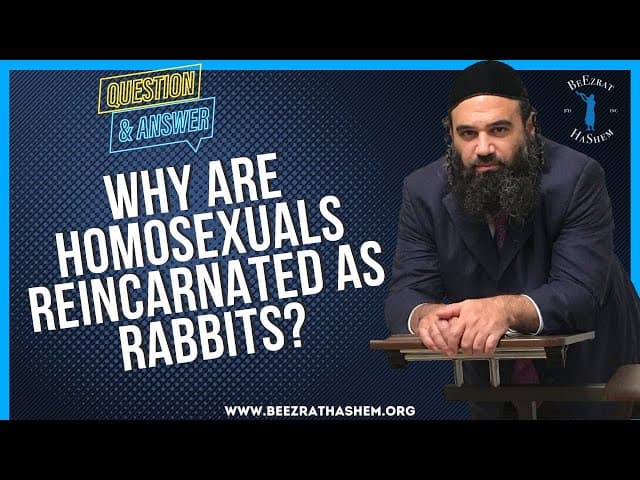 WHY ARE HOMOSEXUALS REINCARNATED AS RABBITS?