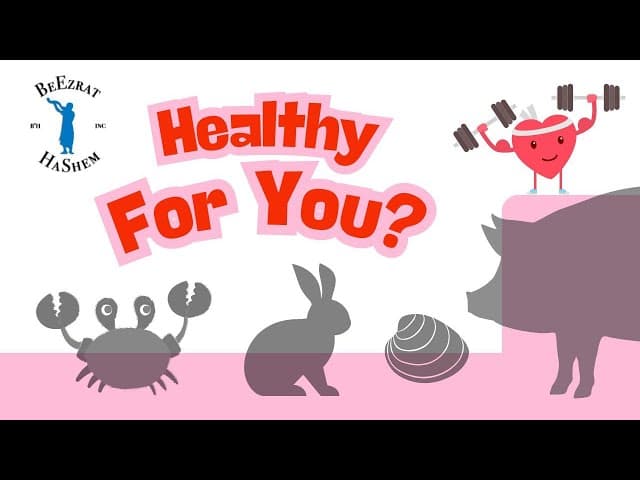 Does non kosher food affect non Jew? (The Kosher Kitchen)