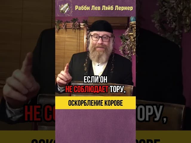 Оскорбление корове 🐄 Человек, который ниже травы #shorts #тора