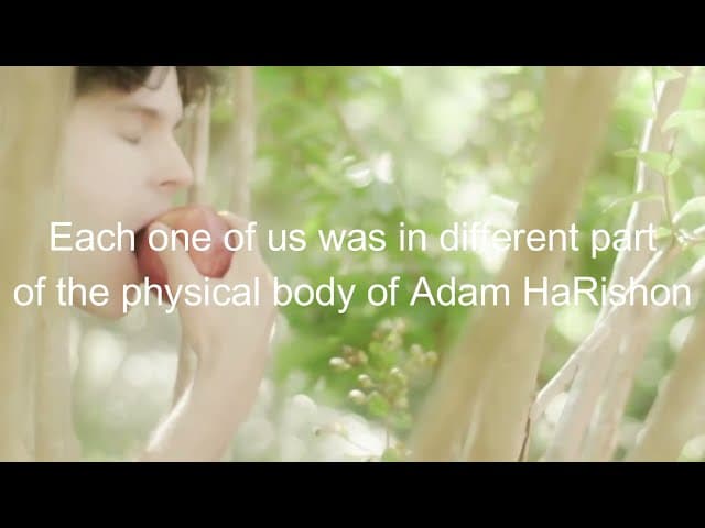 Adam HaRishon: The Source Of All Souls (A BeEzrat HaShem Inc Film)
