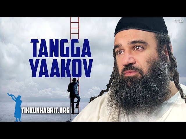 Apakah Memboros Biji Menghambat Naik Tangga Yaakov?