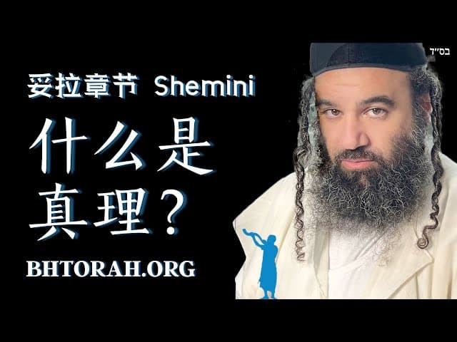 舍米尼解密 | 犹太饮食法则