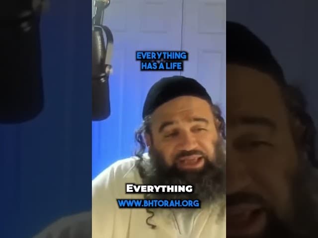 The sound of tree when it falls