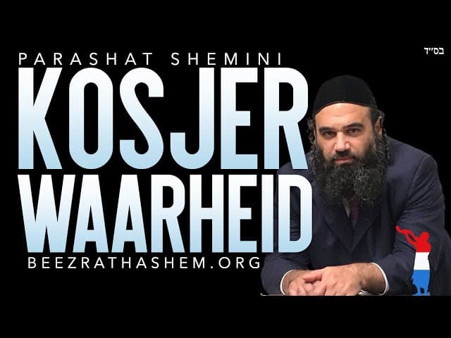 Paraso Shemini | Kosjer Waarheid