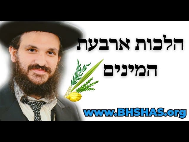 הלכות ארבעת המינים