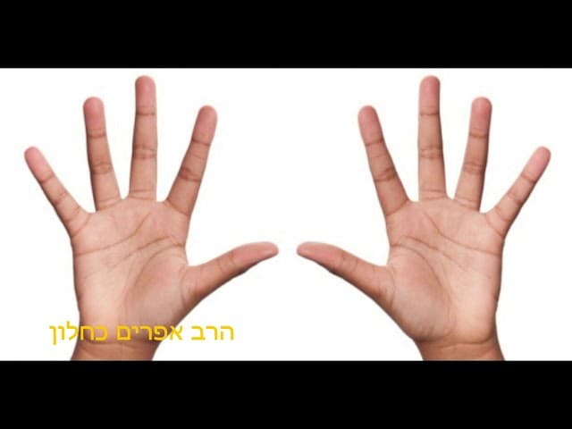 עשר אצבעות לי יש הרב אפרים כחלון