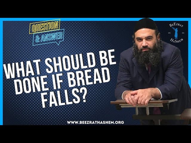 WHAT SHOULD BE DONE IF BREAD FALLS?