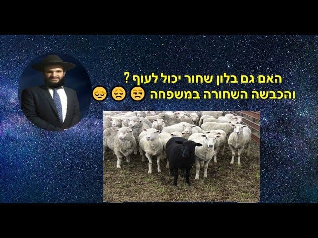 האם גם בלון שחור יכול לעוף? והכבשה השחורה במשפחה😔😞😒