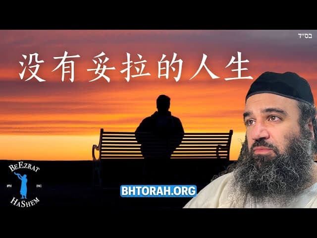 没有托拉的人生毫无意义