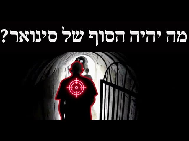 מה יהיה הסוף של סינואר?