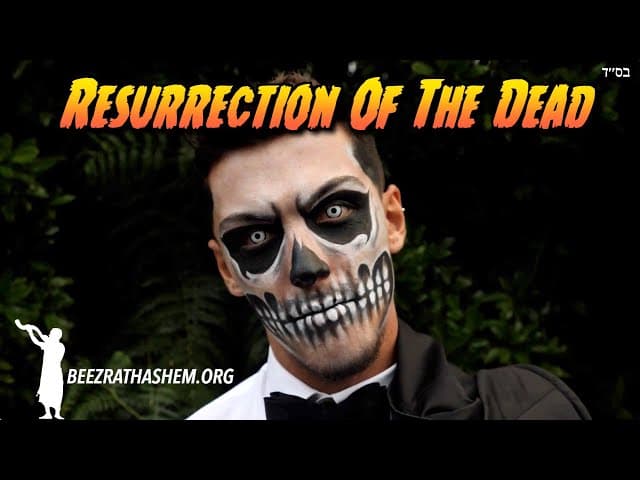 They Will Not See The Resurrection Of The Dead