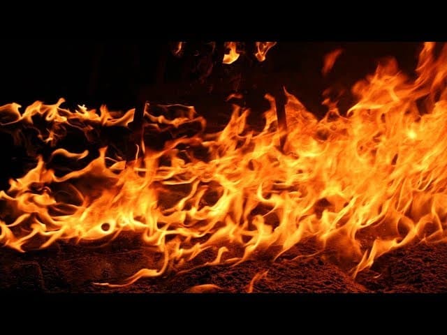Wasting Seed- What Does God Say About it? (12 Minutes)