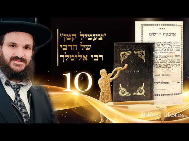 תורת החסידות שיעור 10