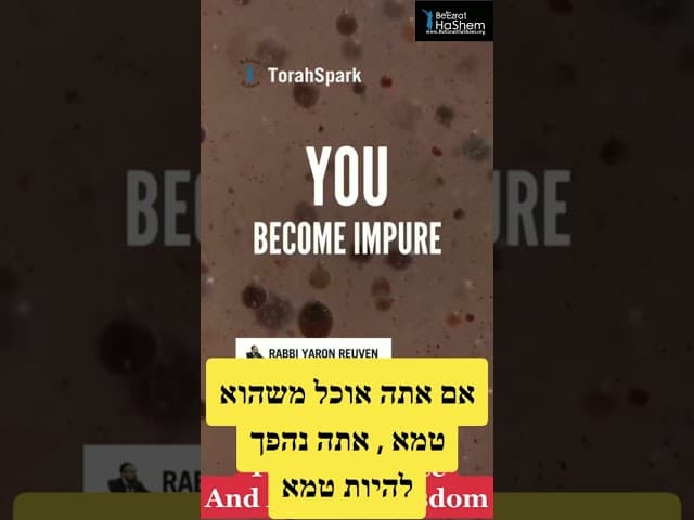 כוחות הטומאה והטהרה | הרב ירון שליט"א
