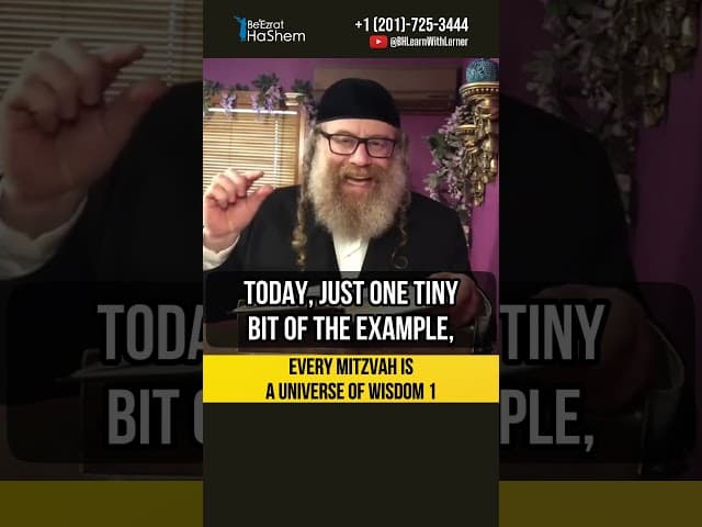 1️⃣ Every mitzvah is the universe of wisdom #Torah #shorts