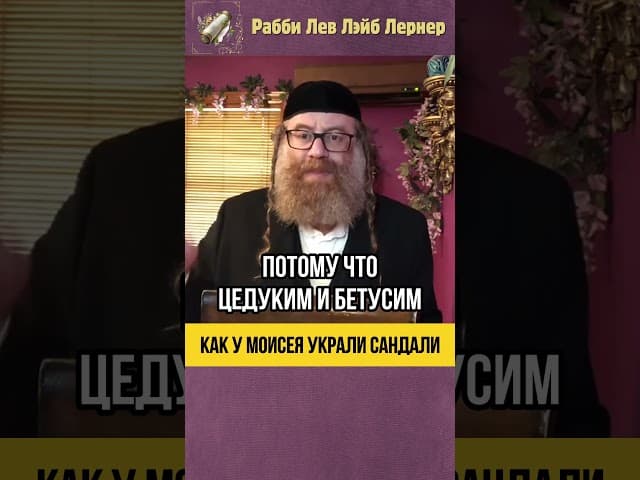 😱 Как у Моисея украли сандали 🩴 Просто невероятно! #shorts #тора