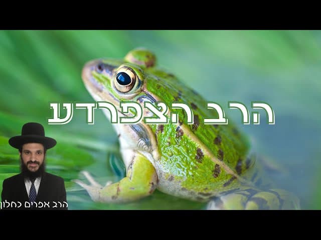 הרב הצפרדע