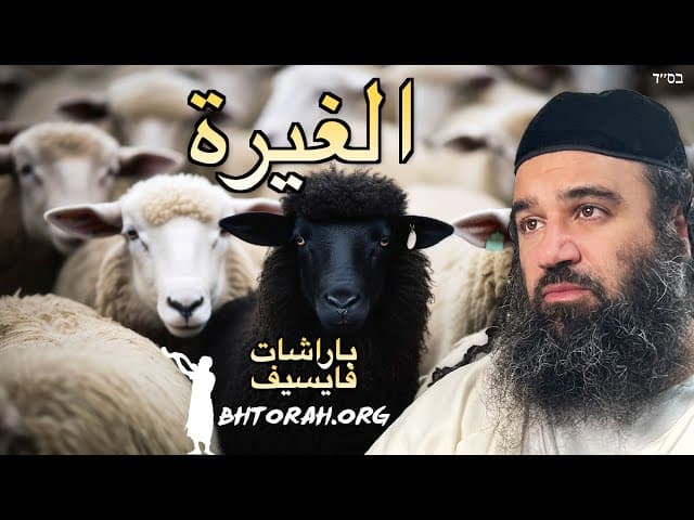 مخاطر الغيرة - باراشات فايسيف
