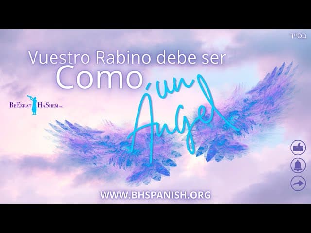 Solo puedes aprender de un Rabino