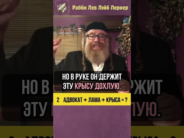 2️⃣ Адвокат + лама + крыса =❓#shorts #тора