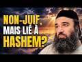 Parashot (Section Hebdomadaire de la Torah)