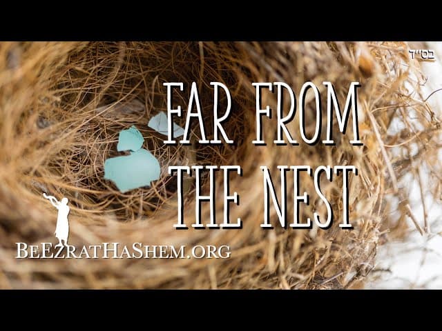 Far From The Nest