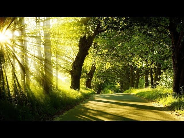 Why You Must Change Your Environment If You Want To Get Closer To HaShem.