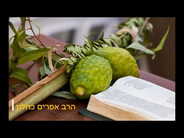 שיעור שאלות בסוכות בנתניה הרב אפרים כחלון1
