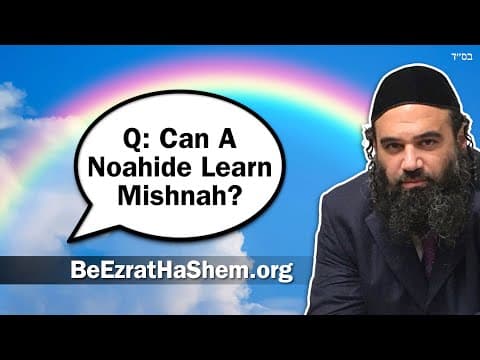 Torah Q&A