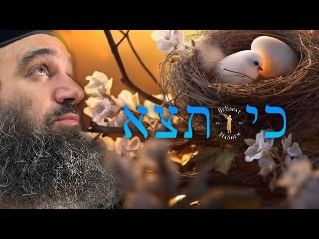 איך מתכוננים לראש השנה; הפינה השבועית ~ פרשת כי תצא תשפ"ג